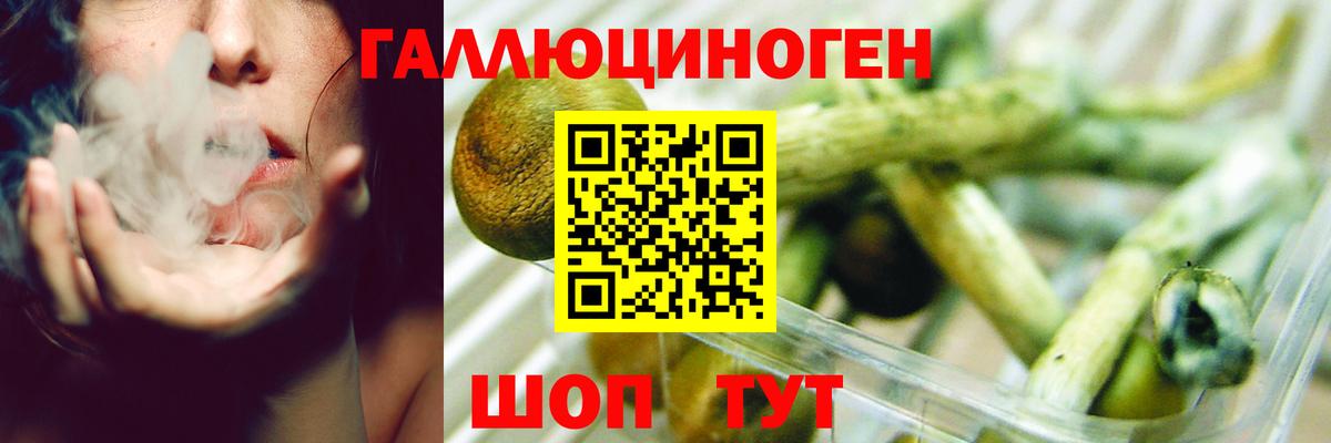 Сибай  Галлюциногенные грибы Magic Shrooms  Галлюциногенные грибы мухоморы  Вход с VPN 